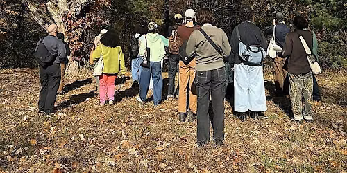Birding for Preservation