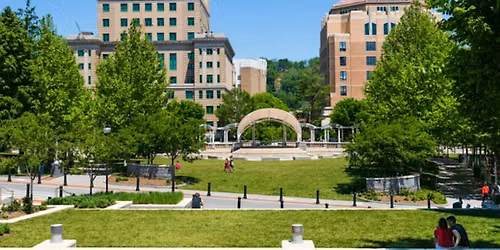 Courage For Jean: Asheville Blue Ridge Mystery