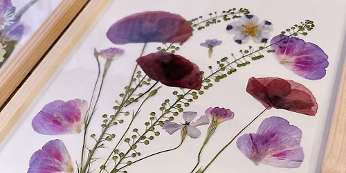 Atelier - Les herbiers fleuris