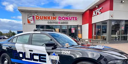 AdamCFest Petrolheadonism 2026