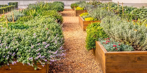 Raised Bed Gardening Basics
