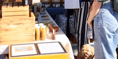 shore and sage wellness market | free San Diego wellness + makers market