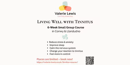 Living Well with Tinnitus - 6-Week Small Group Course, Conwy