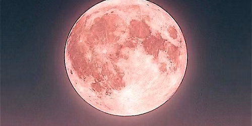 The Midyear Reflection: A Summer Sound Bath Series