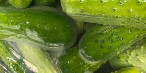 Space Coast Pickle Festival