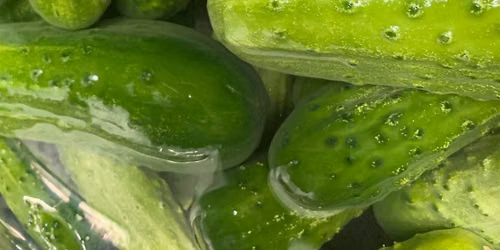 Space Coast Pickle Festival