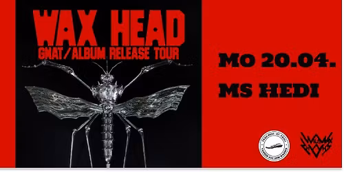 Wax Head (UK) \u2013 MS HEDI 