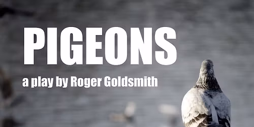 'Pigeons' - Wedgewood Rooms, Portsmouth -15.12.25