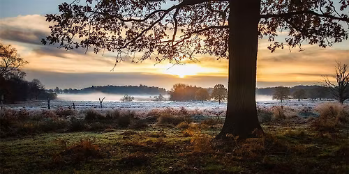 BFTLDN X Black Girl 20k Steps Walk