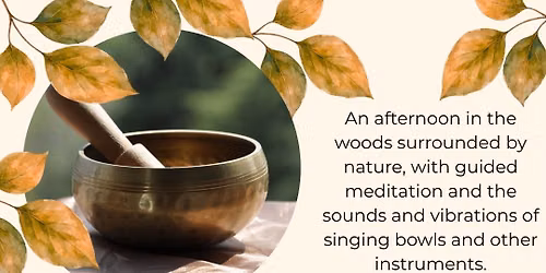 Autumn woodland sound meditation experience 