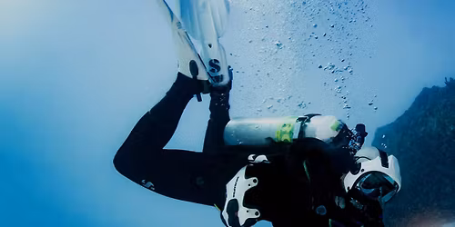 Dive Club Meeting 11\/20\/2025: Diversity in Diving