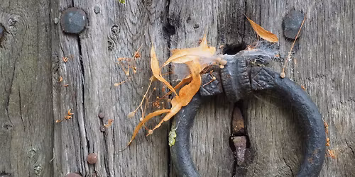 Photography with Deeper Vision