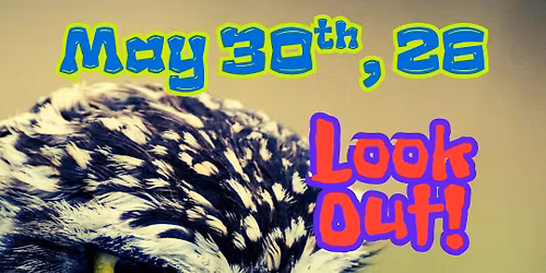 Look Out!, Avout, Word