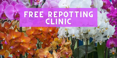 FREE! Orchid Repotting Clinic (Open to the Public)