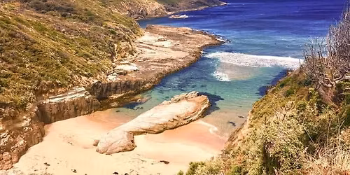 Group classes in Mat Pilates, Barre Fitness and Tap Dance Term 4