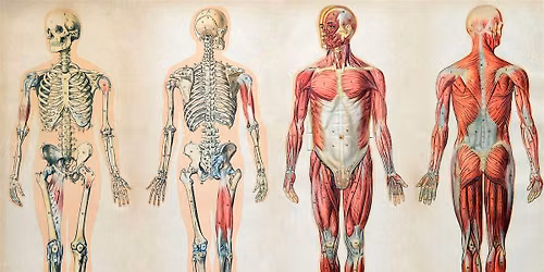 Reading Your Body's Story