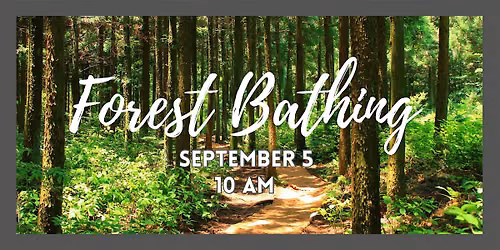Forest Bathing