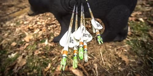 Mohawk Archery Outdoor 3D Shoot @ Spring Park Preserve