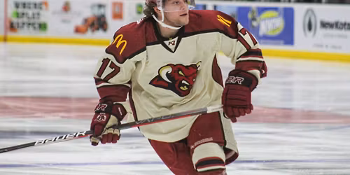 North Iowa Bulls vs. Minot Minotauros