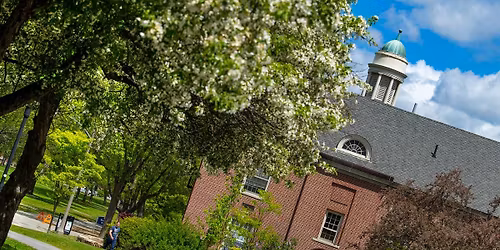 Parking cOsmO - Princeton