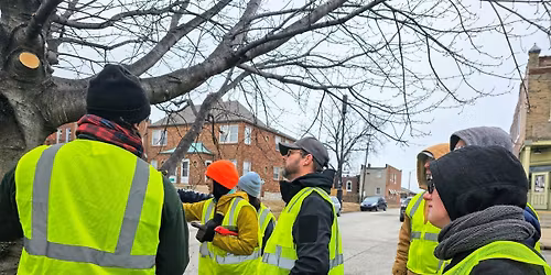 Bevo Neighborhood Tree Care Blitz