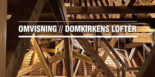 Omvisning p\u00e5 Domkirkens lofter