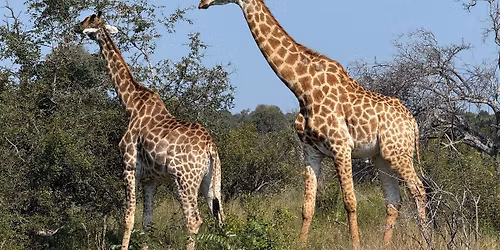 \u0421\u0440\u0435\u0449\u0430 \u043d\u0430 \u0425\u0438\u043b\u044f\u0434\u0430 \u041f\u044a\u0442\u0435\u0448\u0435\u0441\u0442\u0432\u0438\u044f