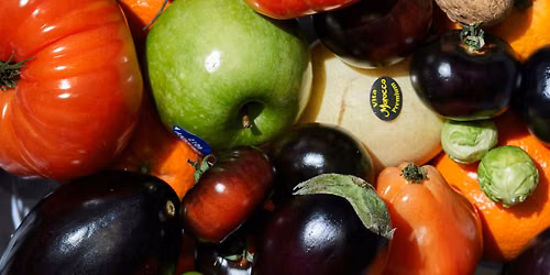 The Food: A Workshop on Food Waste