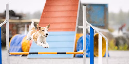 YL\u00d6KK Agility-epikset