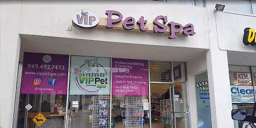 San Clemente - Dog dental cleaning