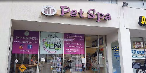 San Clemente - Dog dental cleaning