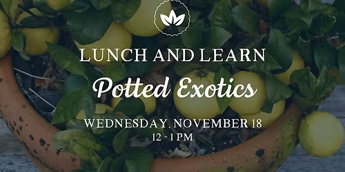 Lunch & Learn: Potted Exotics