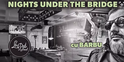 \ud83d\udcbf Nights under the bridge cu Barbu