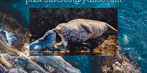 Sealed at Sea watercolor class