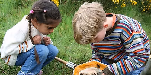 Abberton bug and butterfly hunt