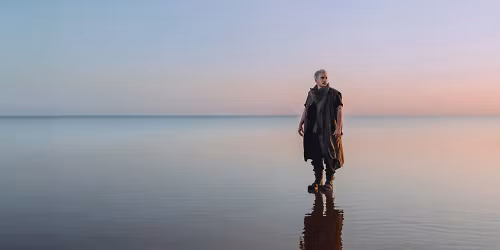 Alex Stein, Connect in Dublin