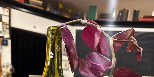 Adult Craft Night! Glass Bottle Decorating (with a free plant cutting)