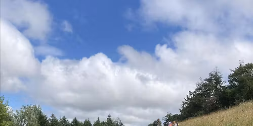 Community Tree Planting - Woodland Revival Day