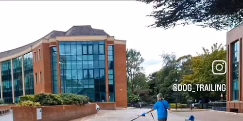 Didsbury AFTERNOON Trailing Session - Mantrailing
