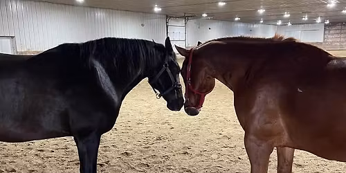 Fascia Clinic with Doug Knick