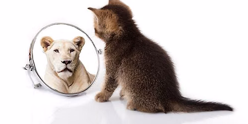 Assertiveness Skills