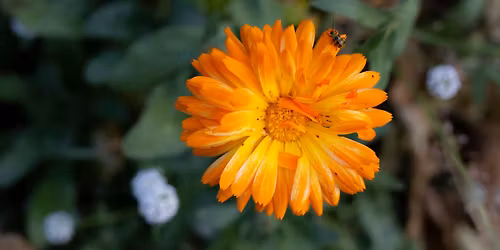 Goddess Empowerment Photoshoot