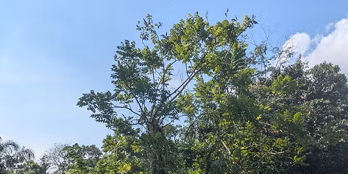 Plant Walk at Venus Loop