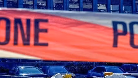 Serienkiller, Komplizen und Cold Cases