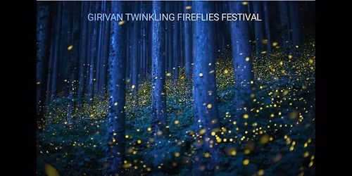 GIRIVAN TWINKLING FIREFLIES FESTIVAL