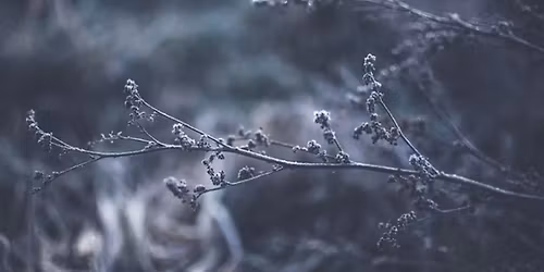 Winter Solstice Benefit: Live Sound ft. Aurora & Antheia + Slow Flow for Kalamazoo Loaves & Fishes