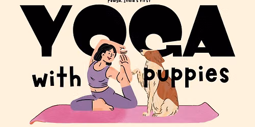 Yoga with Puppies at The Corner Company Alwarpet