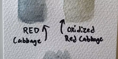 12\/10 Chemistry of Art: Lake Pigments by Teran Nickells