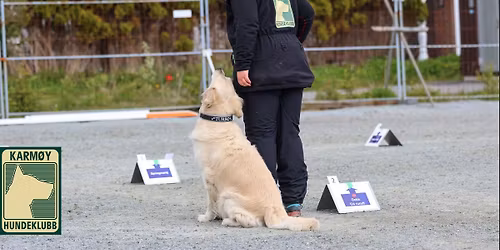 Dobbelstevne i rallylydighet 25. og 26. april 2026 hos Karm\u00f8y Hundeklubb