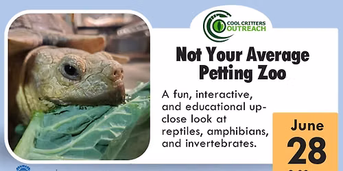 Not Your Average Petting Zoo